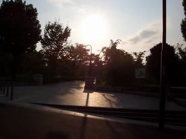 16:台風の去った翌日の里山公園の夕方です。の写真