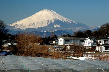 21:堤坂下からの雪富士の写真