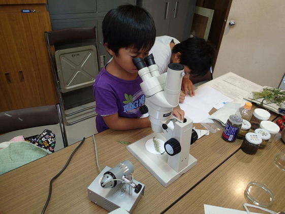 顕微鏡のつかい方教室