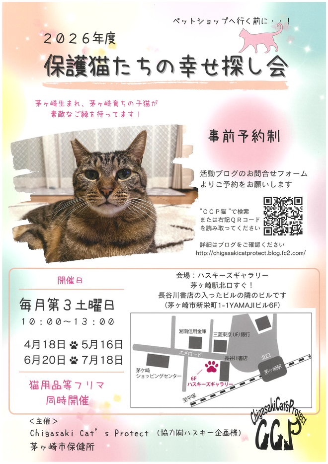 （画像）保護猫たちの幸せ探し会