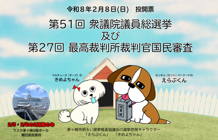 (画像)衆議院議員選挙