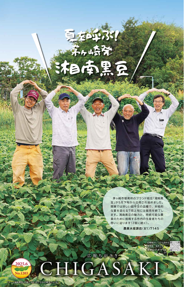 広報ちがさき6月1日号