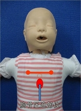 乳児の胸骨圧迫部位を示している写真