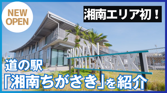ちがさきのおいしい給食