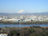 富士山