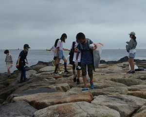 海岸清掃の様子