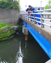 身近な河川の採水