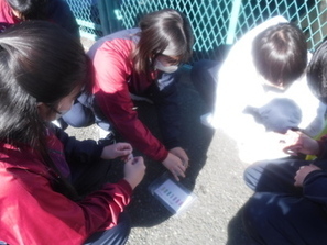 0123環境学習支援授業（2）