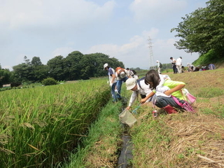 田んぼや水路で生き物観察