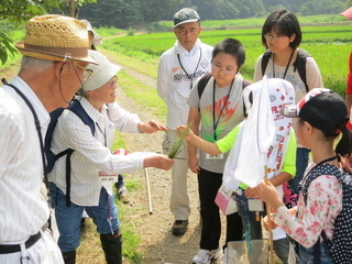 捕まえた生き物を中心に「つながり」をはっけん！