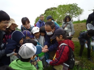 観察する子どもたち