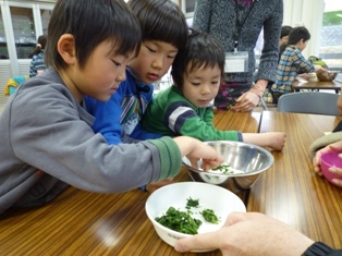 よもぎ団子づくり