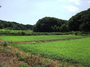 風景