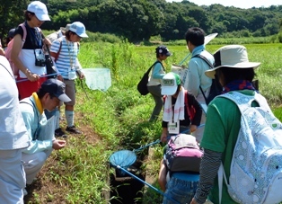 田んぼ