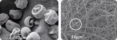 スギ花粉と微小粒子状物質（ピーエム2.5）