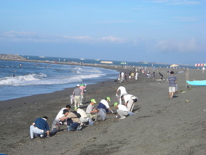 美化キャンペーンクリーン茅ヶ崎の様子