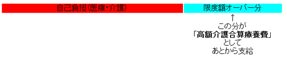 医療保険と介護保険の自己負担を合計した額が、限度額（年単位）を500円以上超えた場合は、超えた額が医療保険と介護保険それぞれから支給されます。