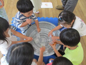 自分たちで作った氷を触って感触遊びを楽しむ様子