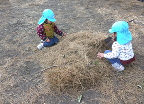 松葉で遊ぶ子ども