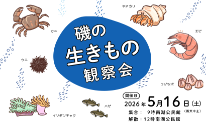 子どもの広場「磯の生きもの観察会」