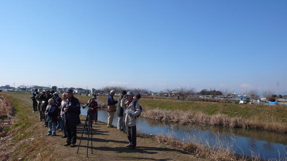 2011年の観察会の様子（西久保にて）