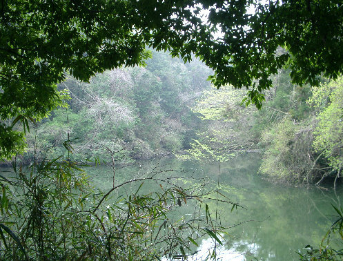 川名大池（藤沢市ホームページより）