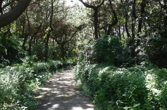 しおさいの森（柳島地区）