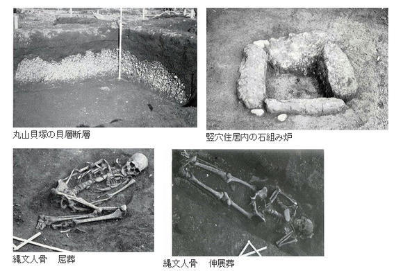 遠藤丸山貝塚から出土した貝層、炉、人骨