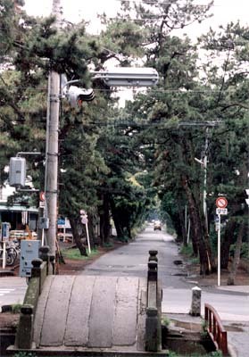 鶴嶺八幡社の参道及び参道松並木