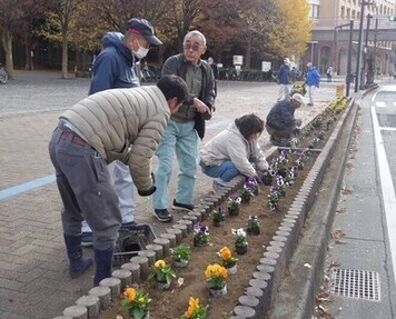 当日の植え付けの様子