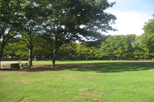 中央公園