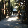 樹林と腰掛神社