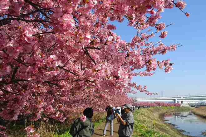 2月28日撮影（提供：三山静雄氏）