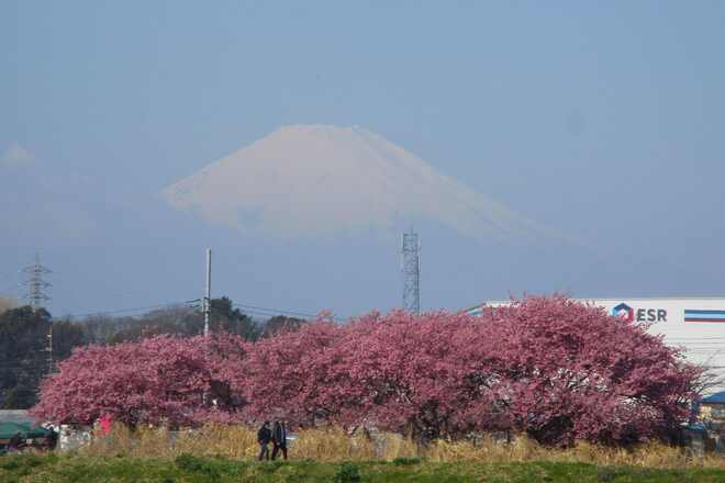 2月28日撮影（提供：三山静雄氏）