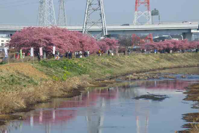 2月28日撮影（提供：三山静雄氏）