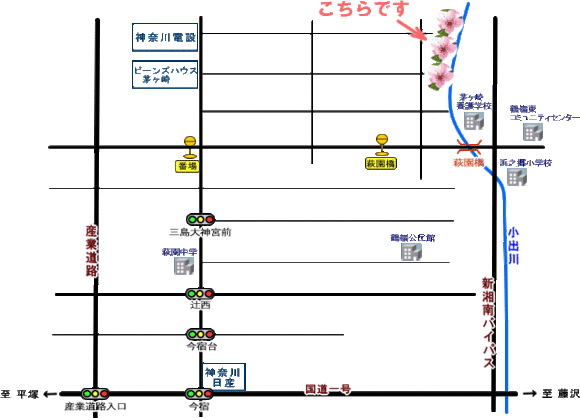 河津桜地図
