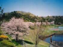 文教大学