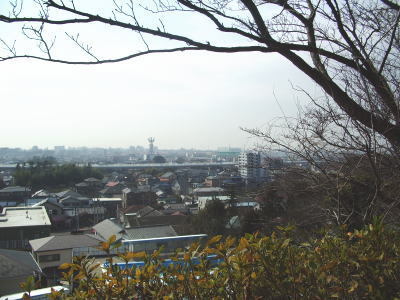 殿山公園（茅ヶ崎市甘沼）から眺めた茅ヶ崎中央商店会方面