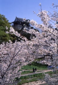 城と桜の風景
