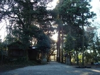 腰掛神社の樹叢