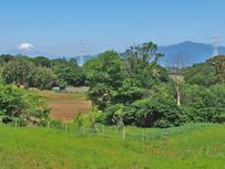 県立茅ヶ崎里山公園内富士見の丘付近の写真
