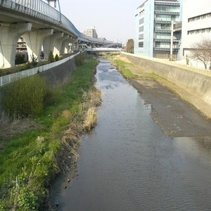 中原橋上流