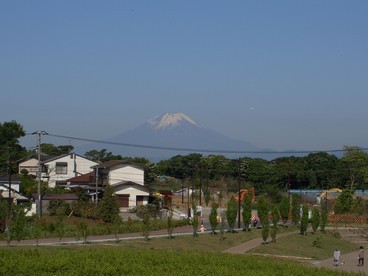 里山公園の富士の写真