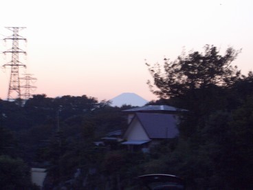 8:夕暮れの二本松の写真