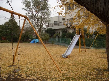 2:公園のジュータンは勿論イチョウの写真