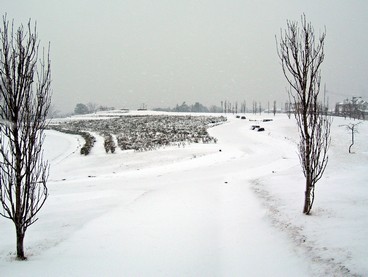 9:小出の里に雪が降りました。の写真