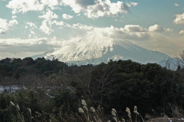 スポーツ公園からの雪富士の写真