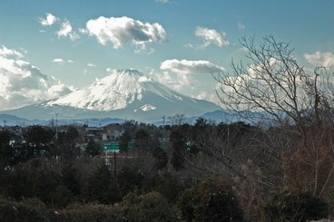 18:雪富士の写真