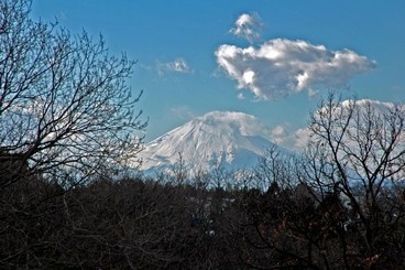 20:大辻からの雪富士の写真
