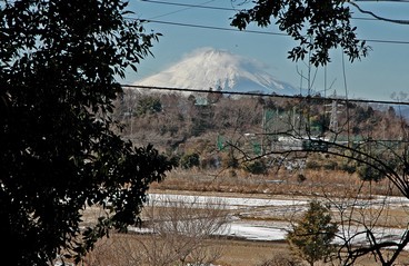 来迎寺からの雪富士の写真